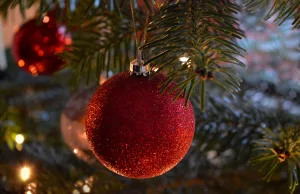 Weihnachtsbaum. Foto: Symbolbild