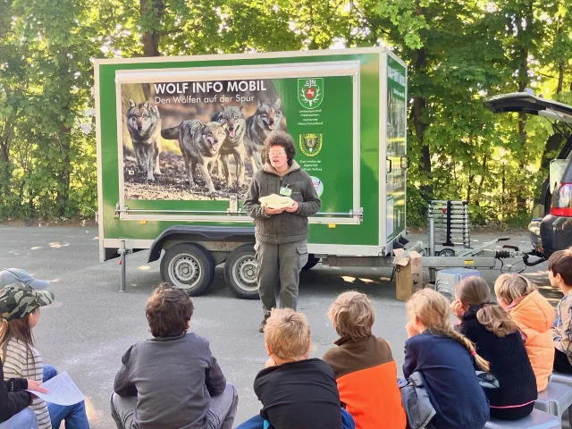 Das neue Präparat eines Wolfswelpen ermöglicht Schülern spannende Vergleiche. Foto: Wegner