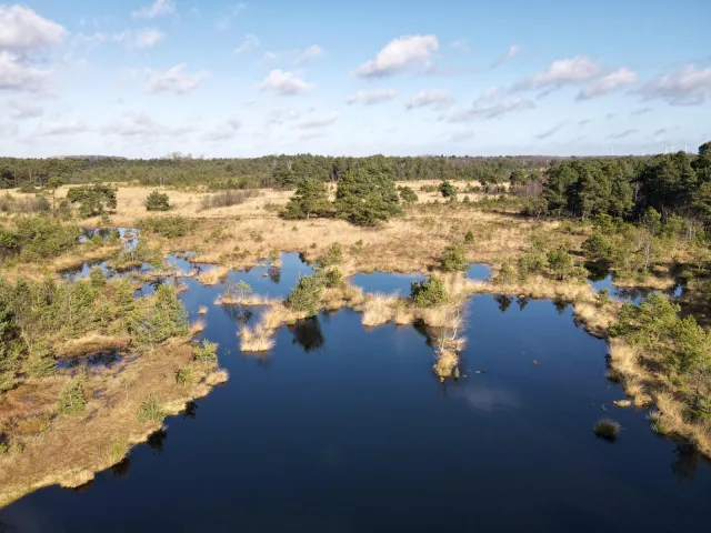 Die Entkusselung im Moor bei Wistedt steht beim Moorwochende auf dem Programm. Foto: Landkreis Harburg
