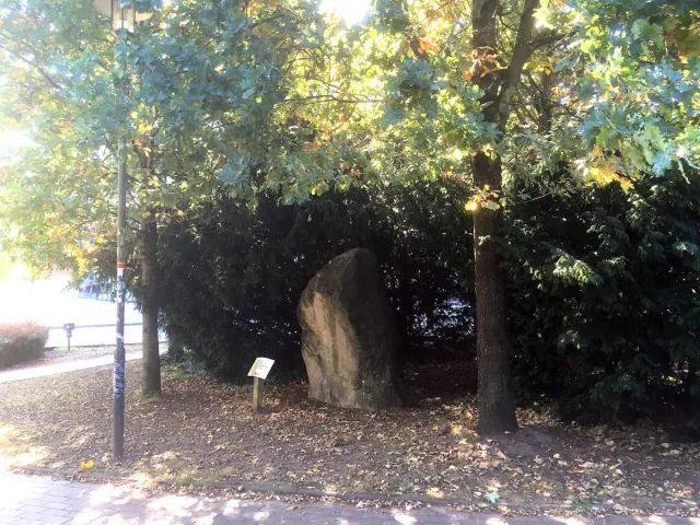 Skandinavien Stein Poststraße Naturschützer fordern alternative Lösungen für die vernachlässigte Grünfläche. Foto BUND