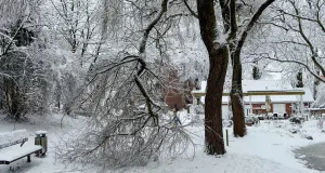 Schneebruch in Buchholz. Foto: JOTO
