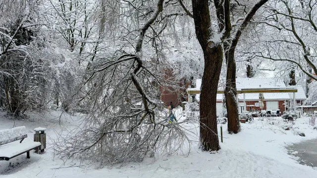 Schneebruch in Buchholz. Foto: JOTO