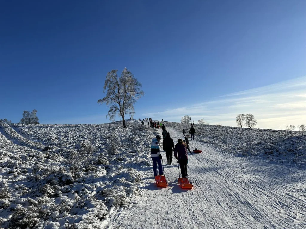 Die verschneite Heidelandschaft am Brunsberg lockt viele Rodler an - doch die Naturschutzbehörde mahnt zur Rücksicht. Foto: Landkreis Harburg