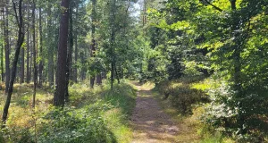 Die Kreisvolkshochschule bietet im Herbst einen Bildungsurlaub im Naturpark Lüneburger Heide an. Foto: KVHS Harburg