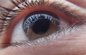 Auge. Foto: Symbolbild