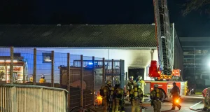 Ein Toter und zwei Verletzte bei Brand auf Firmengelände in Tostedt