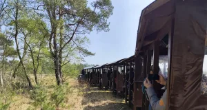 Die Moorbahn Burgsittensen fährt auf historischer Torfbahn-Trasse durch das Tister Bauernmoor und vermittelt Einblicke in die Entstehung des Naturschutzgebiets. Foto: Brückner