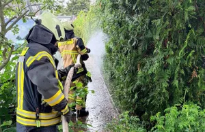 Die Ortswehr Holm löschte den Brand im Kleiberweg mit einem C-Strahlrohr im Schnellangriff. Foto: Feuerwehr Buchholz